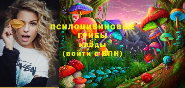 прущая мука Алзамай