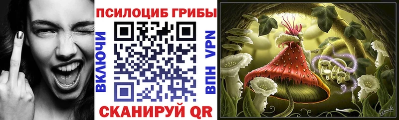 Галлюциногенные грибы MAGIC MUSHROOMS  Купить закладки  Кумертау 